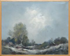 Dune landscape